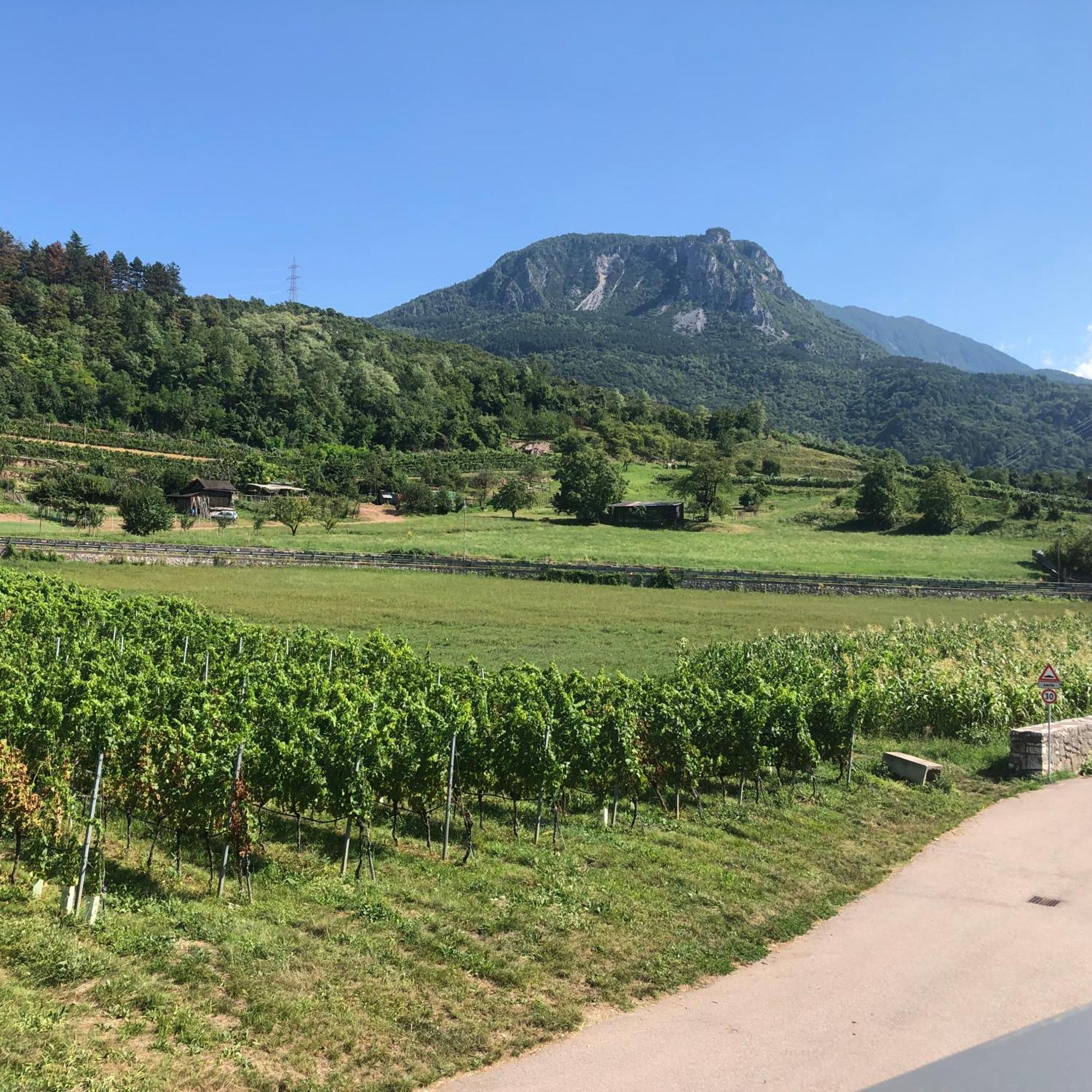 Appartamenti Moderni, Luminosi E Tranquilli Con Parcheggio Privato - Agritur La Tenuta Trento Exterior foto